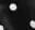 L.Black white peas